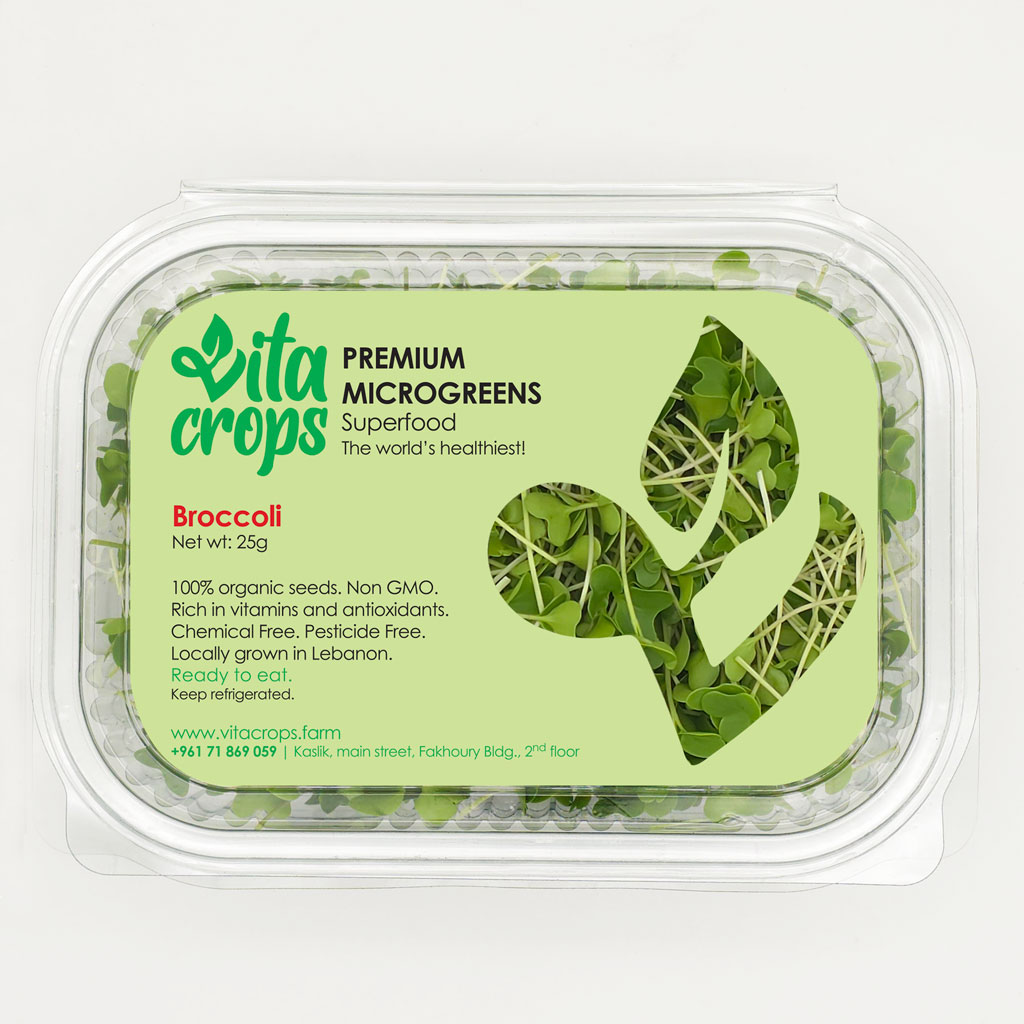 Organic broccoli microgreens from Vitacrops urban farm