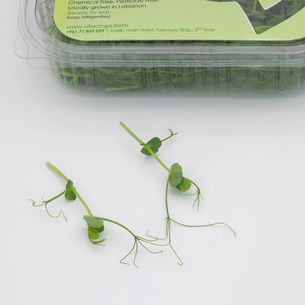 Locally harvested pea microgreens – perfect for healthy meals