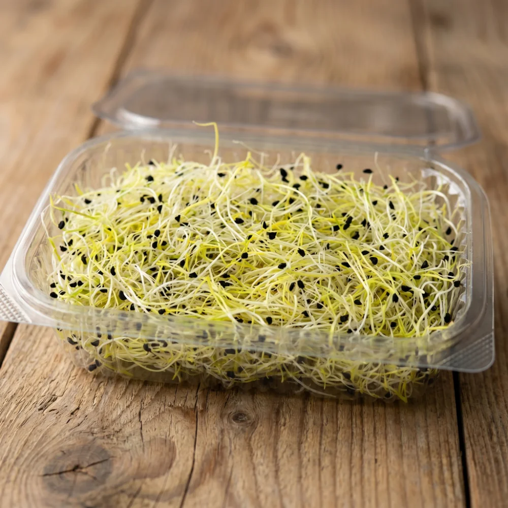 pack of leek sprouts from vitacrops farm