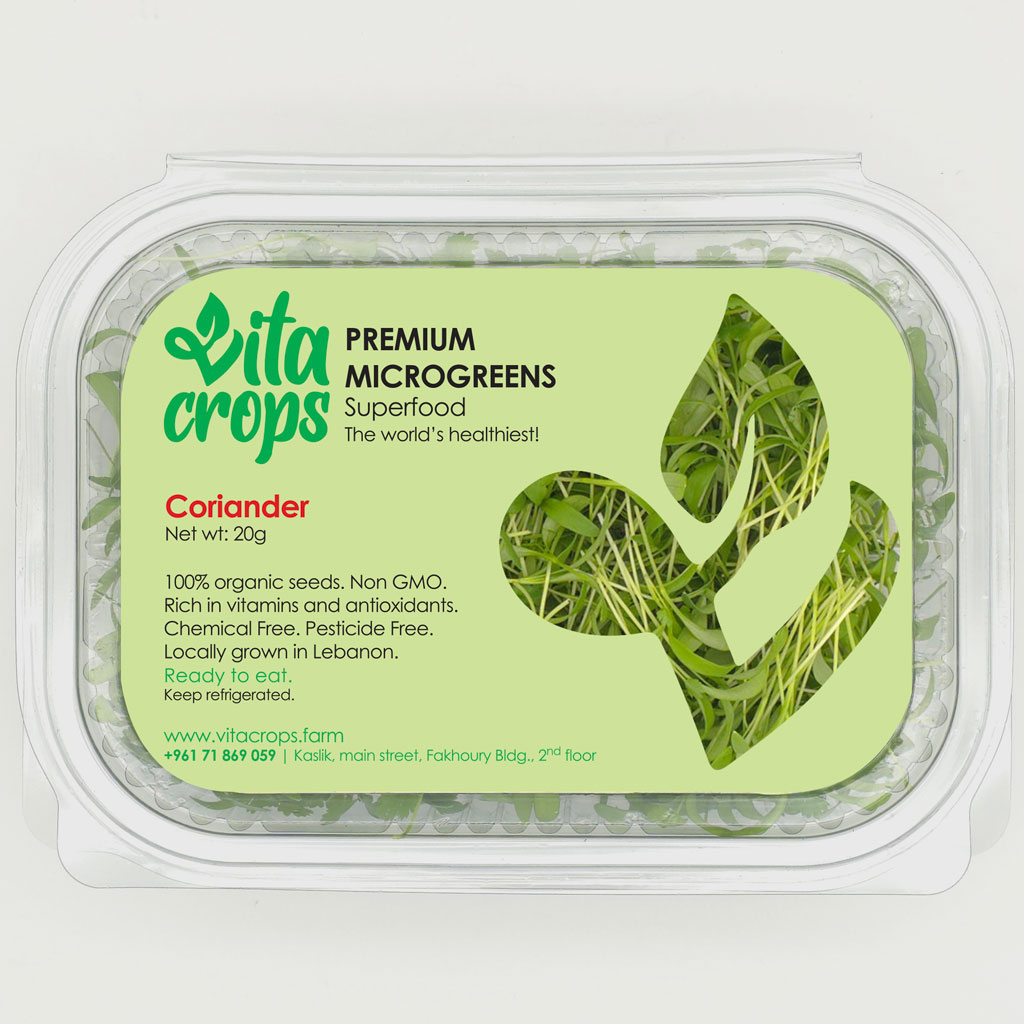 Coriander or Cilantor Microgreens pack from vitacrops farm in Lebanon