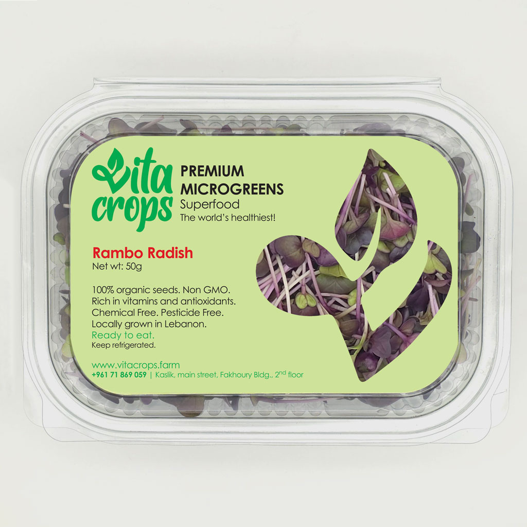Bold and spicy Rambo radish microgreens from Vitacrops urban farm