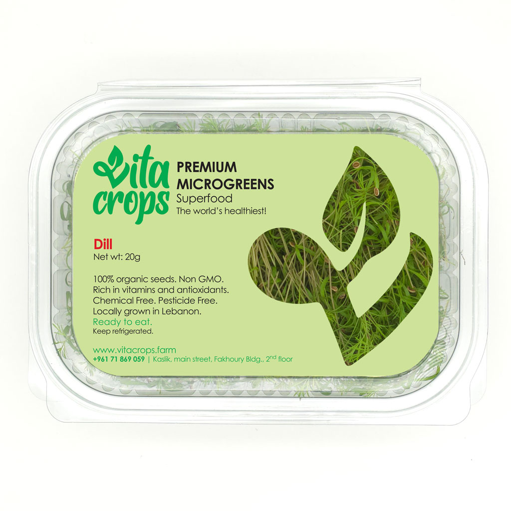 Dill Microgreens pack vitacrops