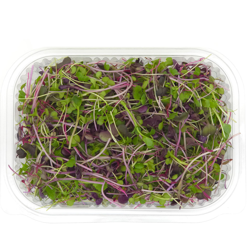 Organic Mix of microgreens by vitacrops in a pack