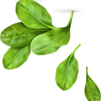 falling microgreens leaves